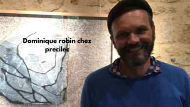 dominique robin chez precilec